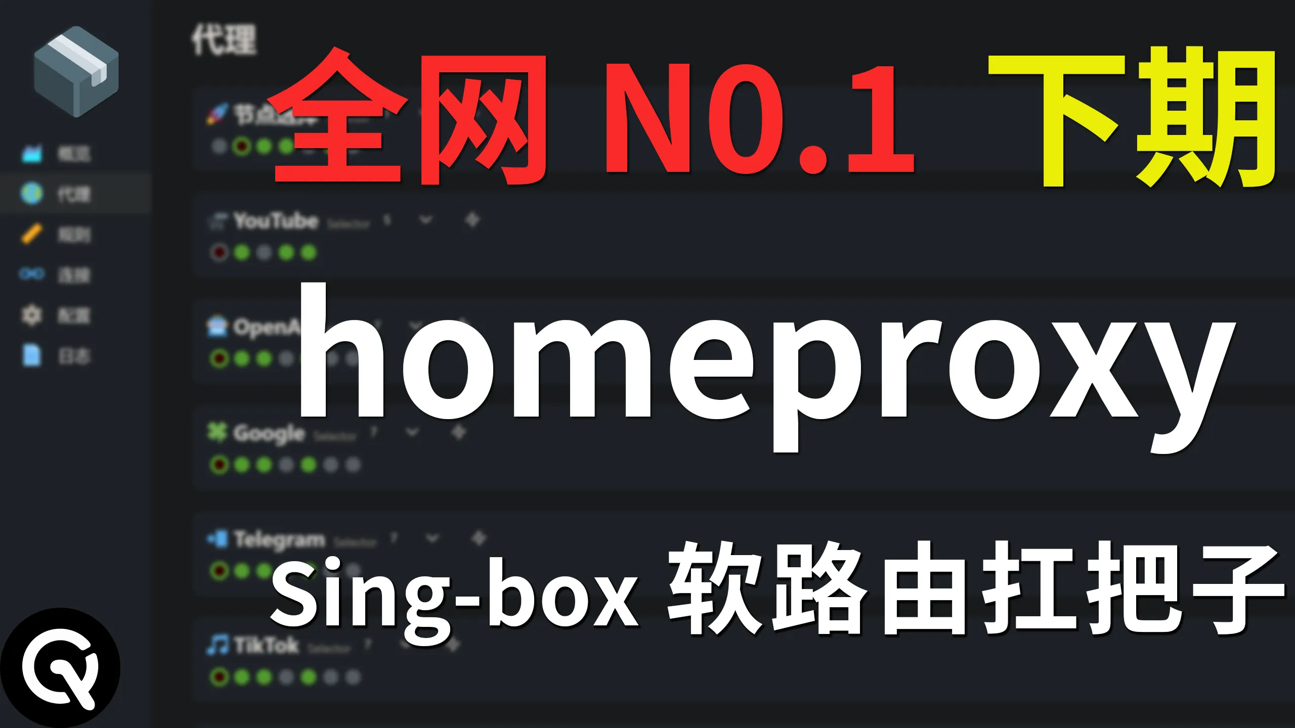 【全网最细】软路由、openwrt、singbox插件homeproxy教程下期、手动新增分流规则、规则集二进制转换、DNS泄露