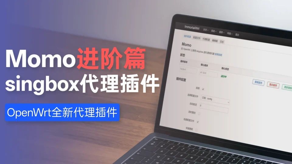 【全网次发】singbox代理插件momo进阶教程